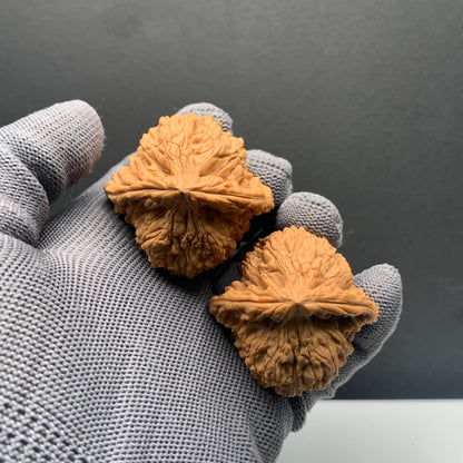 Angel's Wing Nanjiangshi Wenwan Walnuts | Width43*Belly41*Height40 | NO.68316 | Premium