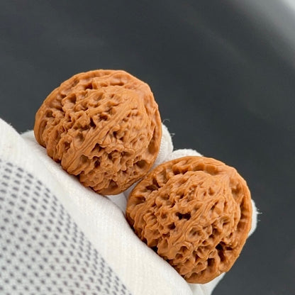 Specical Price | NanJiangShi Wenwan Walnuts （Ragular Grade）