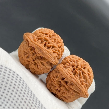 Specical Price | NanJiangShi Wenwan Walnuts （Ragular Grade）