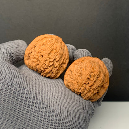 Nanjiangshi  Wenwan Walnuts | Width41*Belly39*Height41 | NO.6101025 |Premium