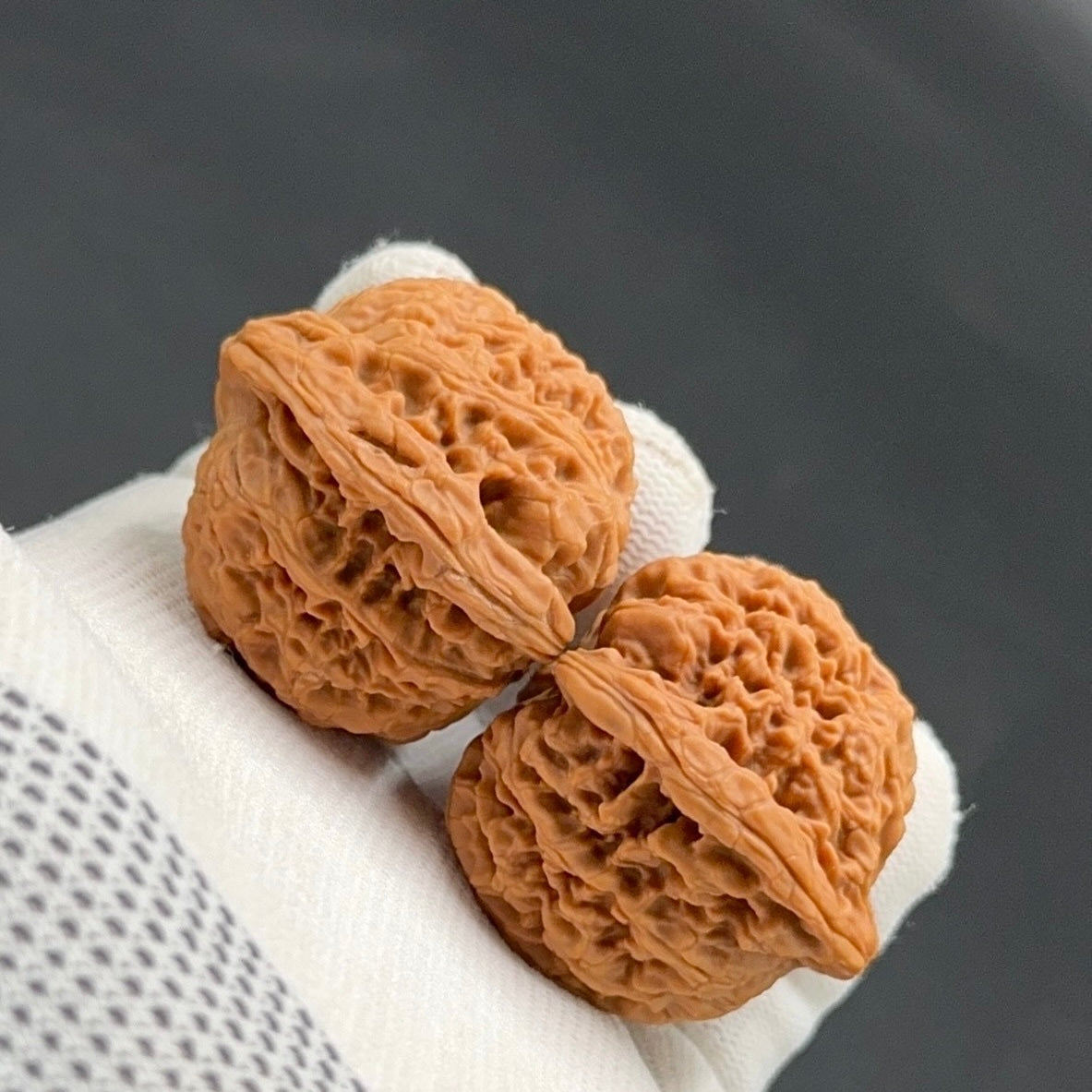Specical Price | NanJiangShi Wenwan Walnuts （Ragular Grade）