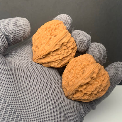 Angel Wing Nanjiangshi Wenwan Walnuts | Width39*Belly40*Height43 | NO.6101028 | Premium