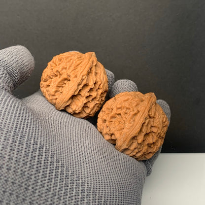 Nanjiangshi Wenwan Walnuts | Width41*Belly39*Height40 |NO.6101012 |Premium