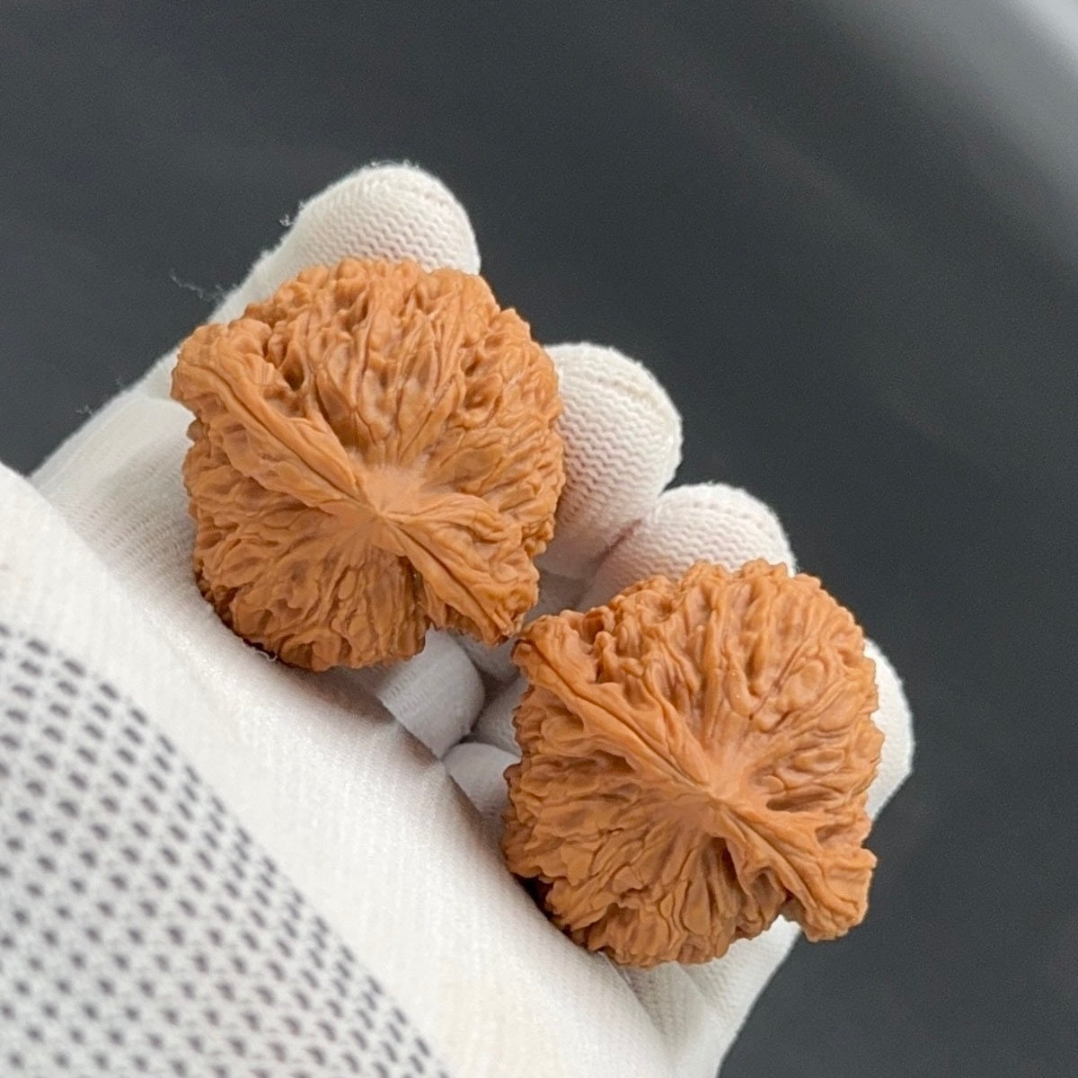 Specical Price | NanJiangShi Wenwan Walnuts （Ragular Grade）