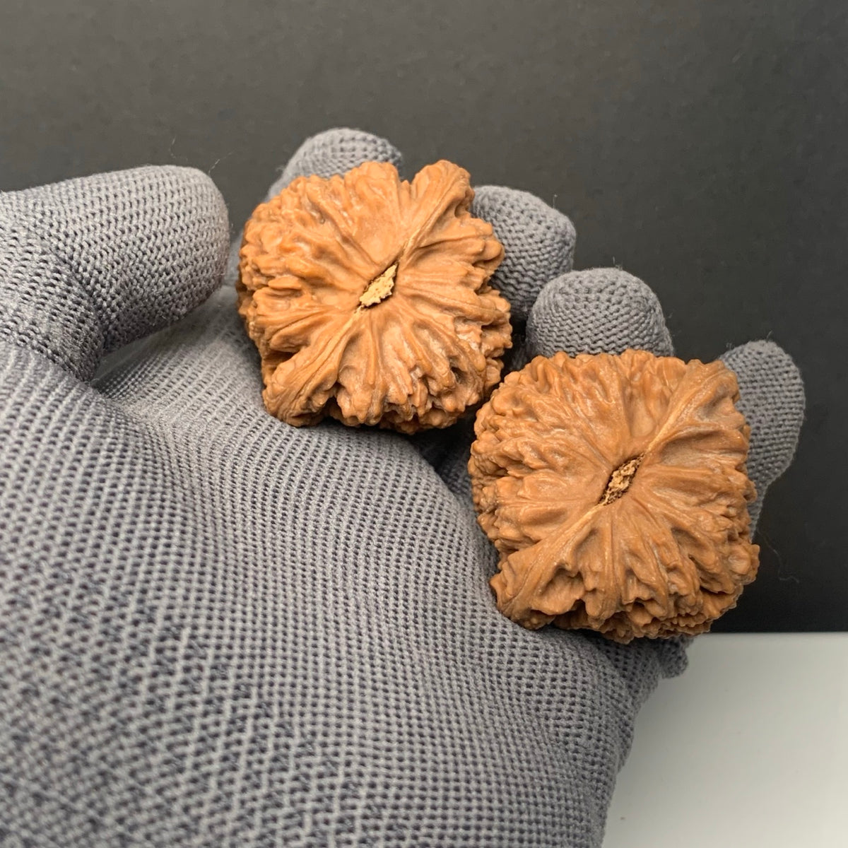 Nanjiangshi Wenwan Walnuts | Width41*Belly39*Height40 |NO.6101012 |Premium