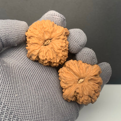 Angel Wing Nanjiangshi Wenwan Walnuts | Width39*Belly40*Height43 | NO.6101028 | Premium