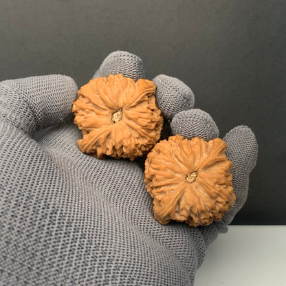 Nanjiangshi  Wenwan Walnuts | Width41*Belly39*Height41 | NO.6101025 |Premium