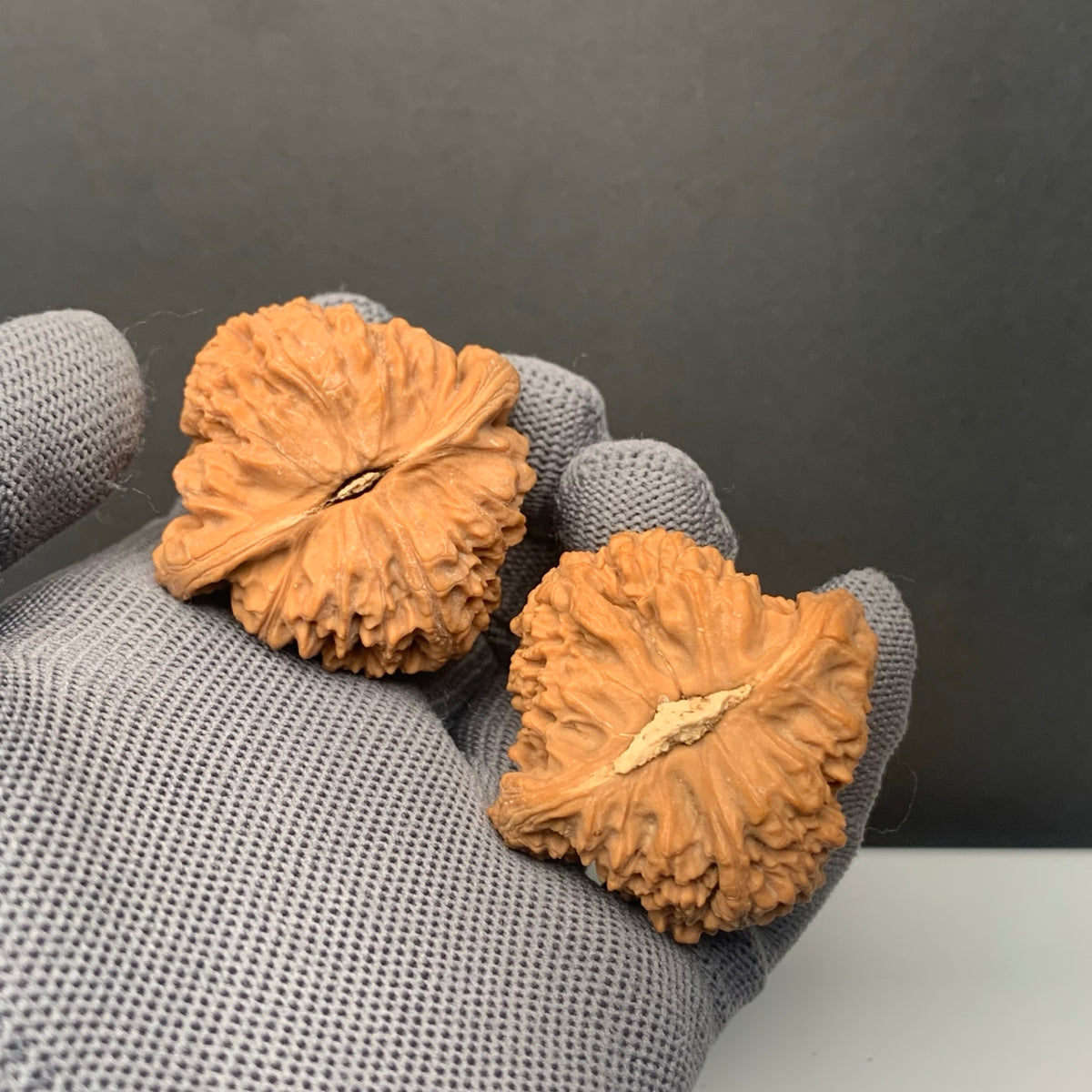 Angel Wing Nanjiangshi Wenwan Walnuts | Width42*Belly40*Height43 | NO.6101016 | Premium