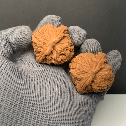Nanjiangshi Wenwan Walnuts | Width41*Belly39*Height40 |NO.6101012 |Premium