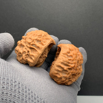 Ox Arm Snake Head Wenwan Walnuts | Width43*Belly33*Height43 | NO.610101 | Premium