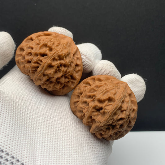 Palace Lantern Walnuts | Width40*Belly40*Height35 | No. 67030 | Premium