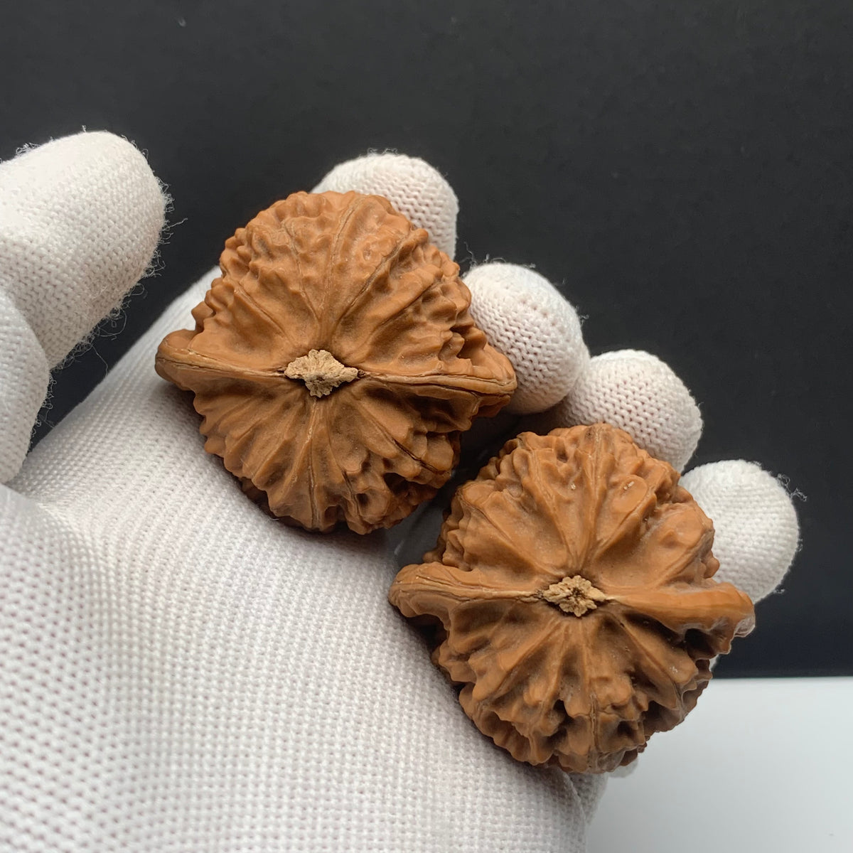 Palace Lantern Walnuts | Width40*Belly40*Height35 | No. 67030 | Premium