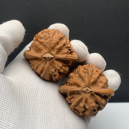 Palace Lantern Walnuts | Width40*Belly40*Height35 | No. 67030 | Premium