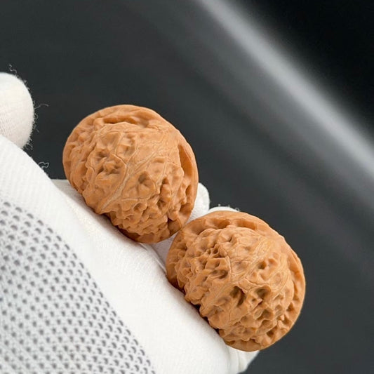 Specical Price | Palace Lantern Wenwan Walnuts（Ragular Grade）