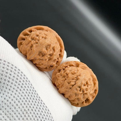 Specical Price | Palace Lantern Wenwan Walnuts（Ragular Grade）