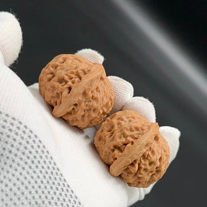 Specical Price | Palace Lantern Wenwan Walnuts（Ragular Grade）