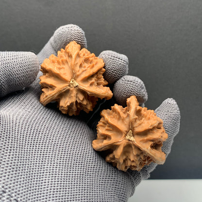 Panshan Tri‑Edge Walnuts | Width39/39/38*Height42 | NO.69124 | Premium