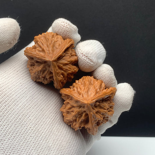 Panshan Triangular Walnuts | Width*Belly*Height | No. 671403 | Premium