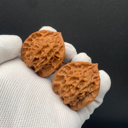 Panshan Triangular Walnuts | Width36*Height40 | No. 671402 | Premium