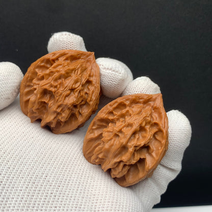 Panshan Triangular Walnuts | Width36*Height40 | No. 671402 | Premium