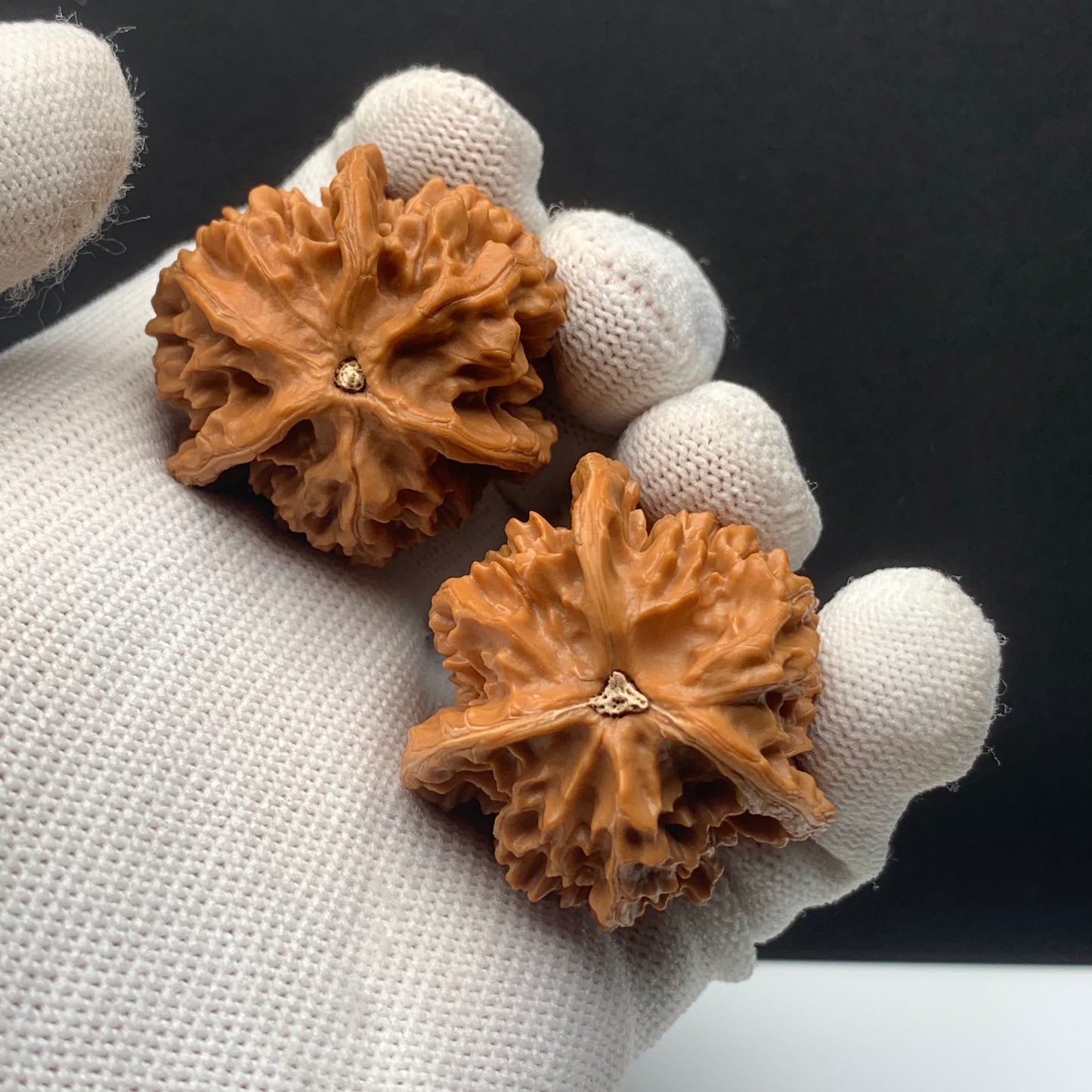 Panshan Triangular Walnuts | Width*Belly*Height | No. 671403 | Premium