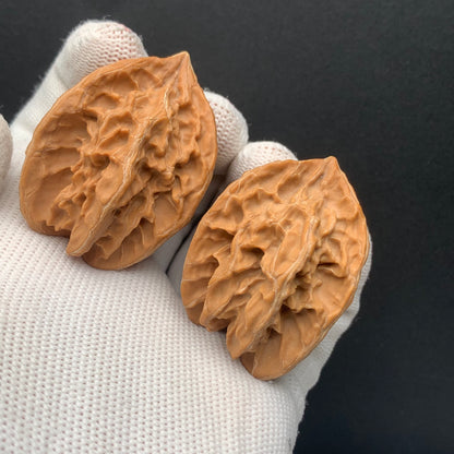 Panshan Triprismatic Walnuts | Width36*Height46 | No. 67303 | Premium