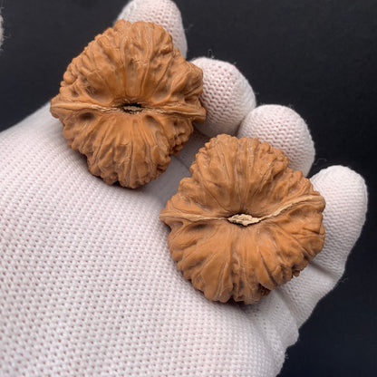 Pinggu Concave Bottom Walnuts | Width34*Belly36*Height34 | No. 0260714-3 | Premium
