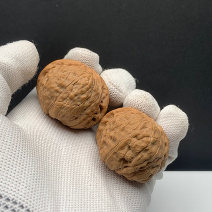 Pumpkin Mound Walnuts | Width38*Belly41*Height30 | No. P67P03 | Premium