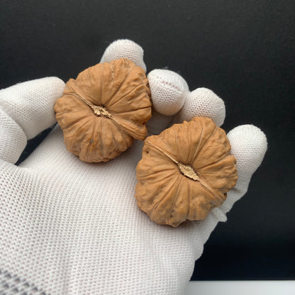 Pumpkin Mound Walnuts | Width40*Belly45*Height33 | No. 6070304 | Premium