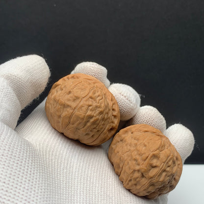 Pumpkin Mound Walnuts | Width38*Belly41*Height30 | No. P67P03 | Premium
