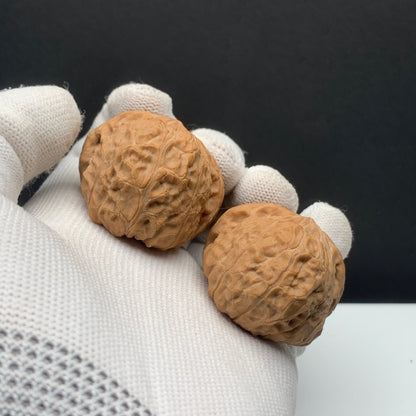Pumpkin Mound Walnuts | Width38*Belly44*Height31 | No. 067402 | Premium