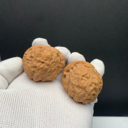 Pumpkin Mound Walnuts | Width40*Belly45*Height33 | No. 6070304 | Premium
