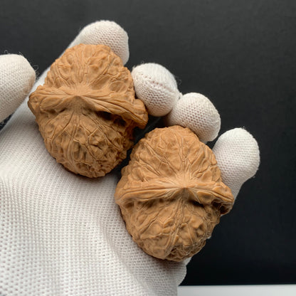 Pumpkin Mound Walnuts | Width41*Belly46*Height35 | No. 6070301 | Premium