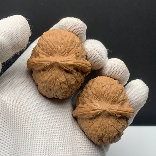 Pumpkin Mound Walnuts | Width38*Belly41*Height30 | No. P67P03 | Premium