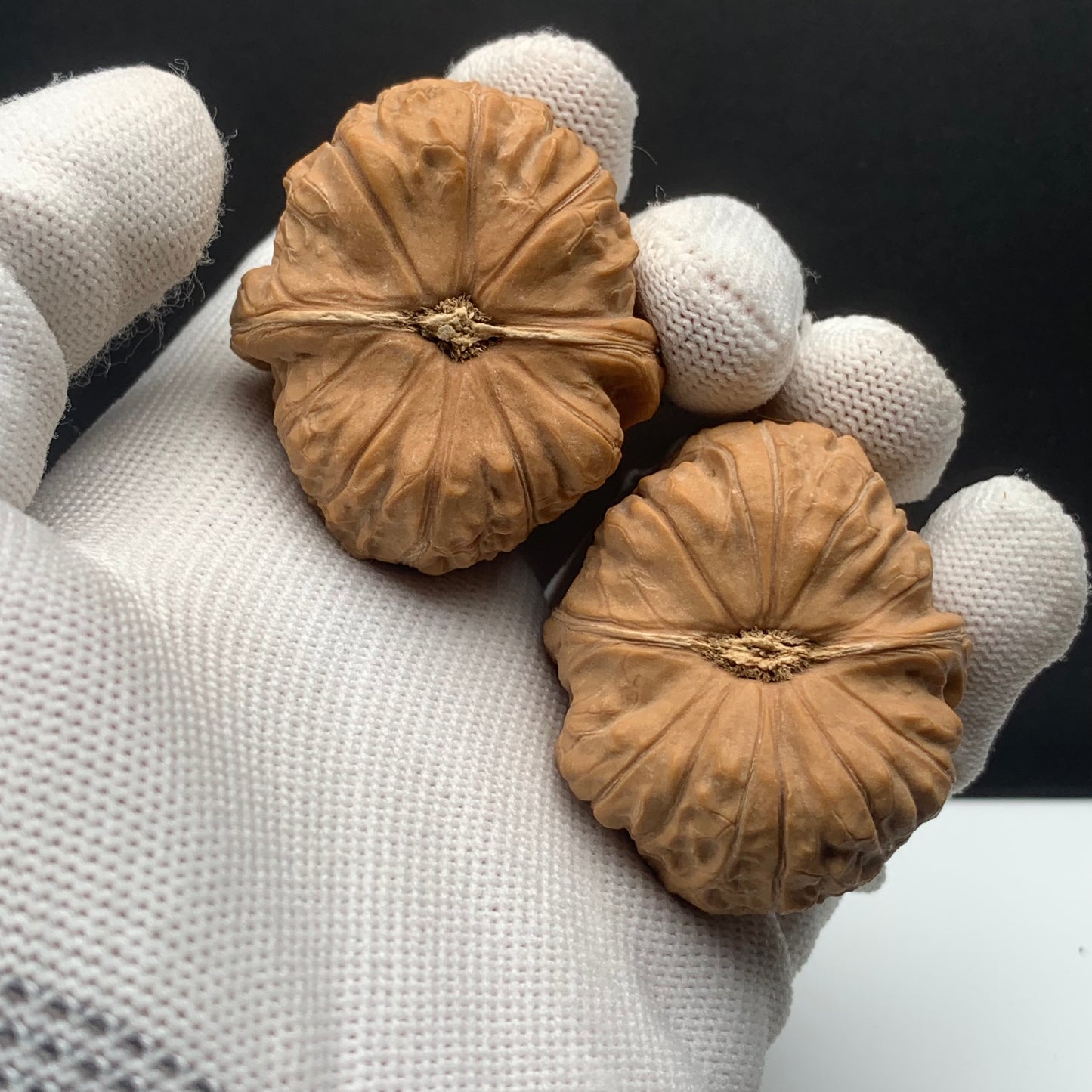Pumpkin Mound Walnuts | Width38*Belly44*Height31 | No. 067402 | Premium