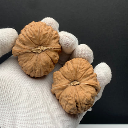 Pumpkin Mound Walnuts | Width41*Belly46*Height35 | No. 6070301 | Premium