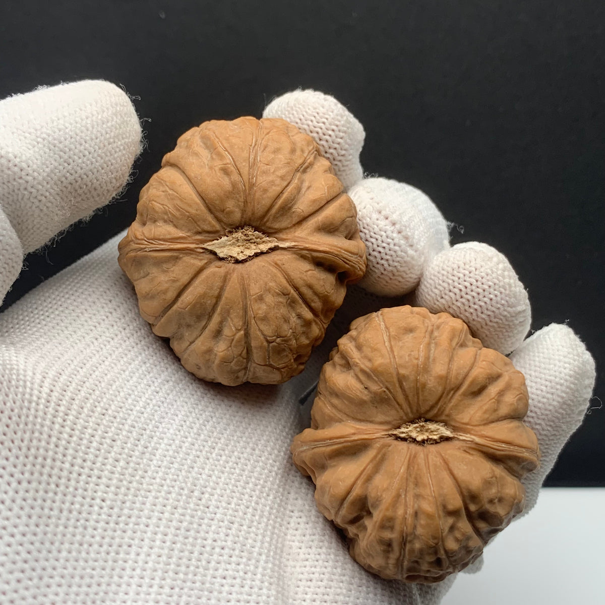 Pumpkin Mound Walnuts | Width38*Belly41*Height30 | No. P67P03 | Premium