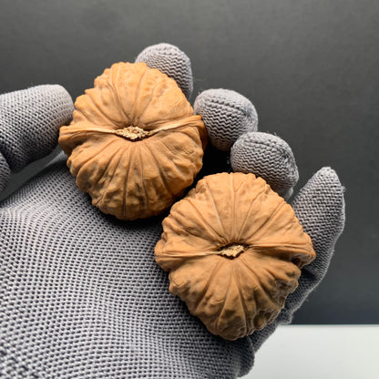 Pumpkin Mound  Wenwan Walnuts | Width42*Belly45*Height31 | NO.69122 | Premium