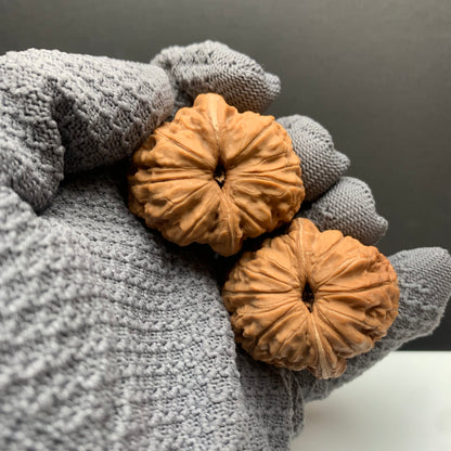 Ingot‑shaped Walnuts | Width37*Belly42*Height37 | No.25‑PGYB‑011 | Premium