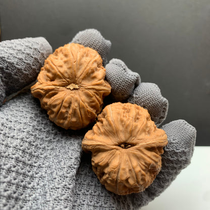 Ingot‑shaped Walnuts | Width40*Belly44*Height34 | No.25‑PGYB‑008 | Premium