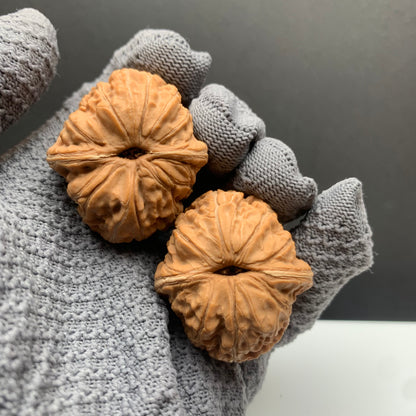 Ingot‑shaped Walnuts | Width38*Belly42*Height33 | No. 25‑PGYB‑010 | Premium