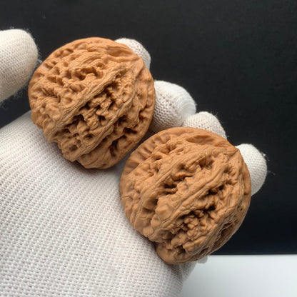 Thick‑Rib Walnuts | Width41*Belly41*Height40 | No. 671009 | Premium