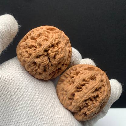 Thick‑Rib Walnuts | Width41*Belly41*Height40 | No. 671009 | Premium