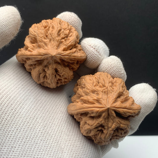 Thick‑Rib Walnuts | Width41*Belly41*Height40 | No. 671009 | Premium