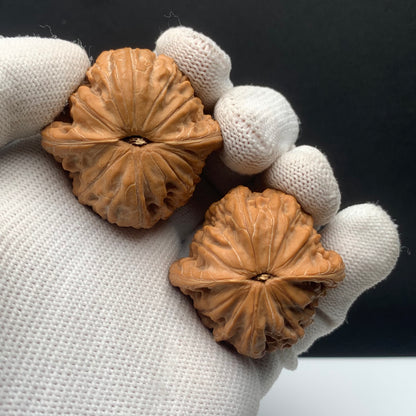 Round Millstone Walnuts | Width38*Belly37*Height30 | No. 673101 | Premium
