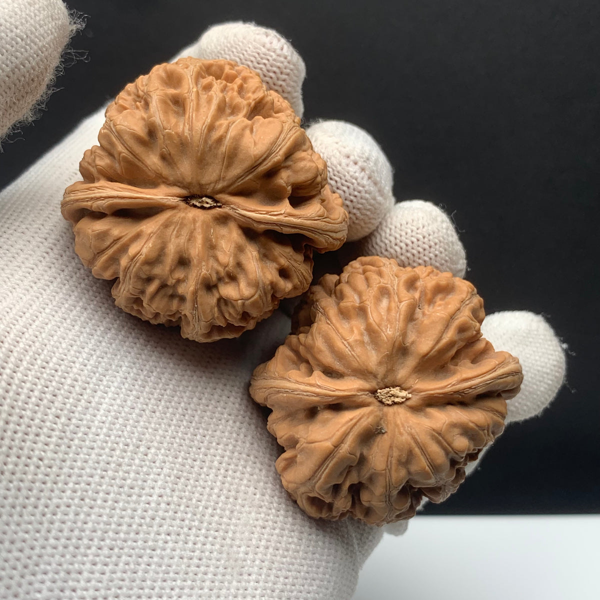 Thick‑Rib Walnuts | Width41*Belly41*Height40 | No. 671009 | Premium