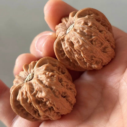 On Sale | Ruby Wenwan Walnuts （Ragular Grade）