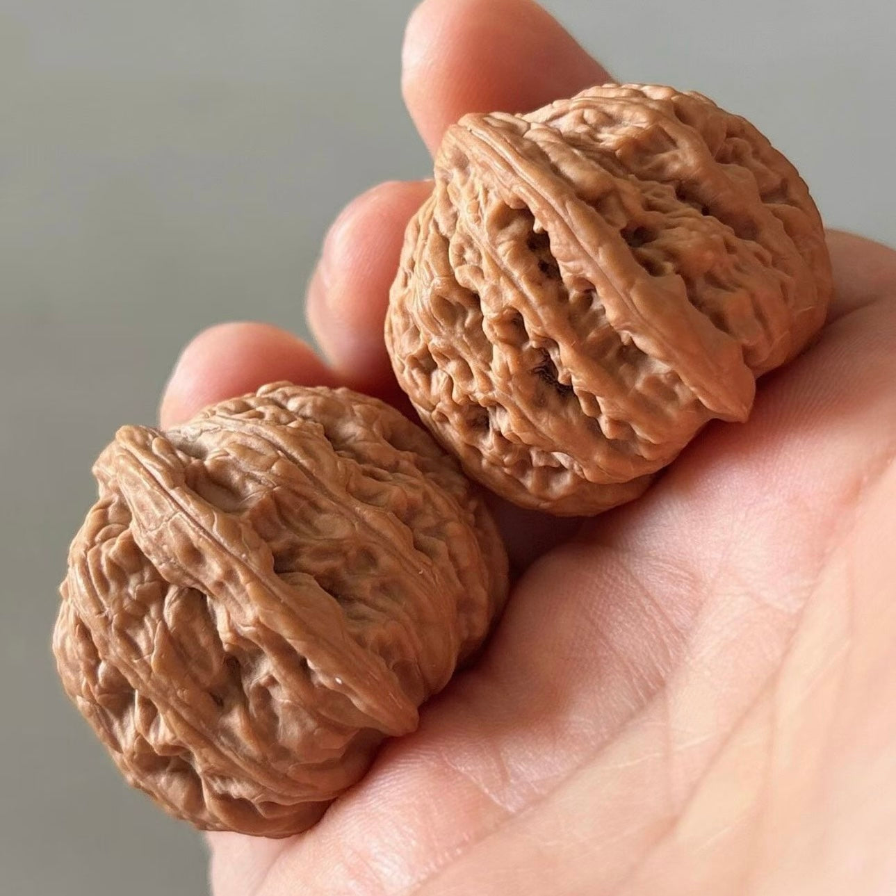 On Sale | Ruby Wenwan Walnuts （Ragular Grade）