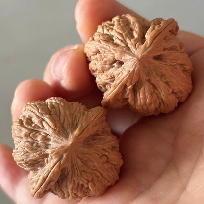 On Sale | Ruby Wenwan Walnuts （Ragular Grade）