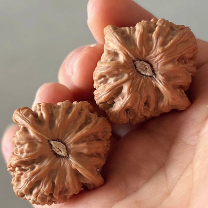 On Sale | Ruby Wenwan Walnuts （Ragular Grade）